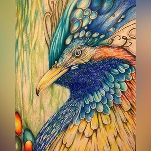 Colored Pencil Drawing - Mr. Peacock 11”x14”